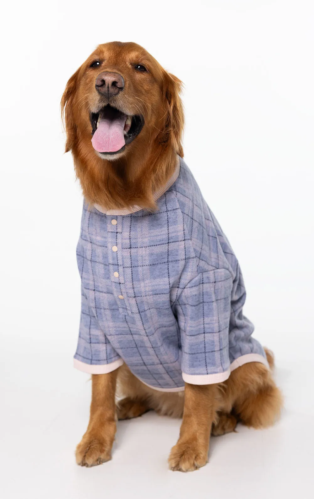 Comfort Knit Pet Pajamas - Dusty Plaid Pet & Owner