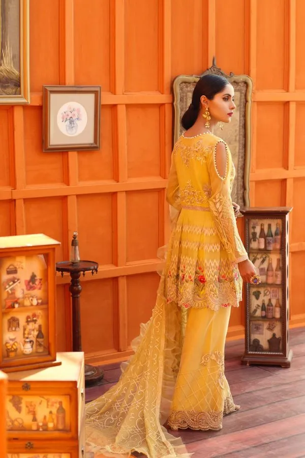 Elegant peplum Pakistani dress online # P2616