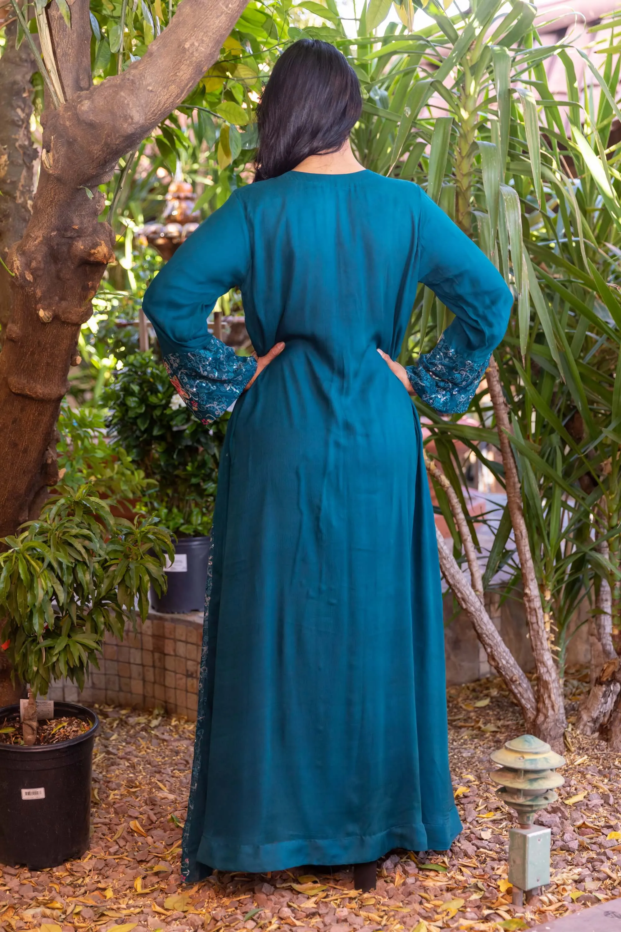 Embroidery Chiffon Maxi-Gown