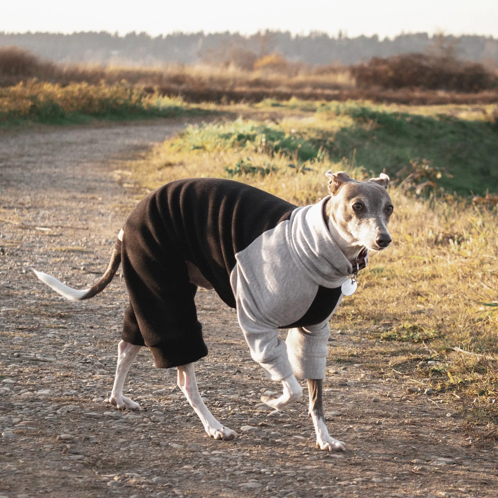 Fleece Dog Onesie - Black & Grey