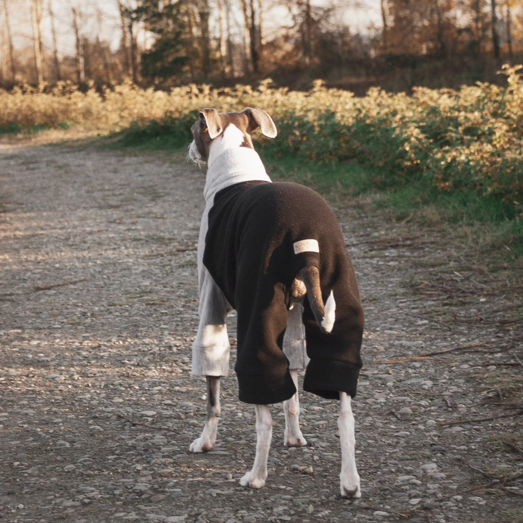 Fleece Dog Onesie - Black & Grey