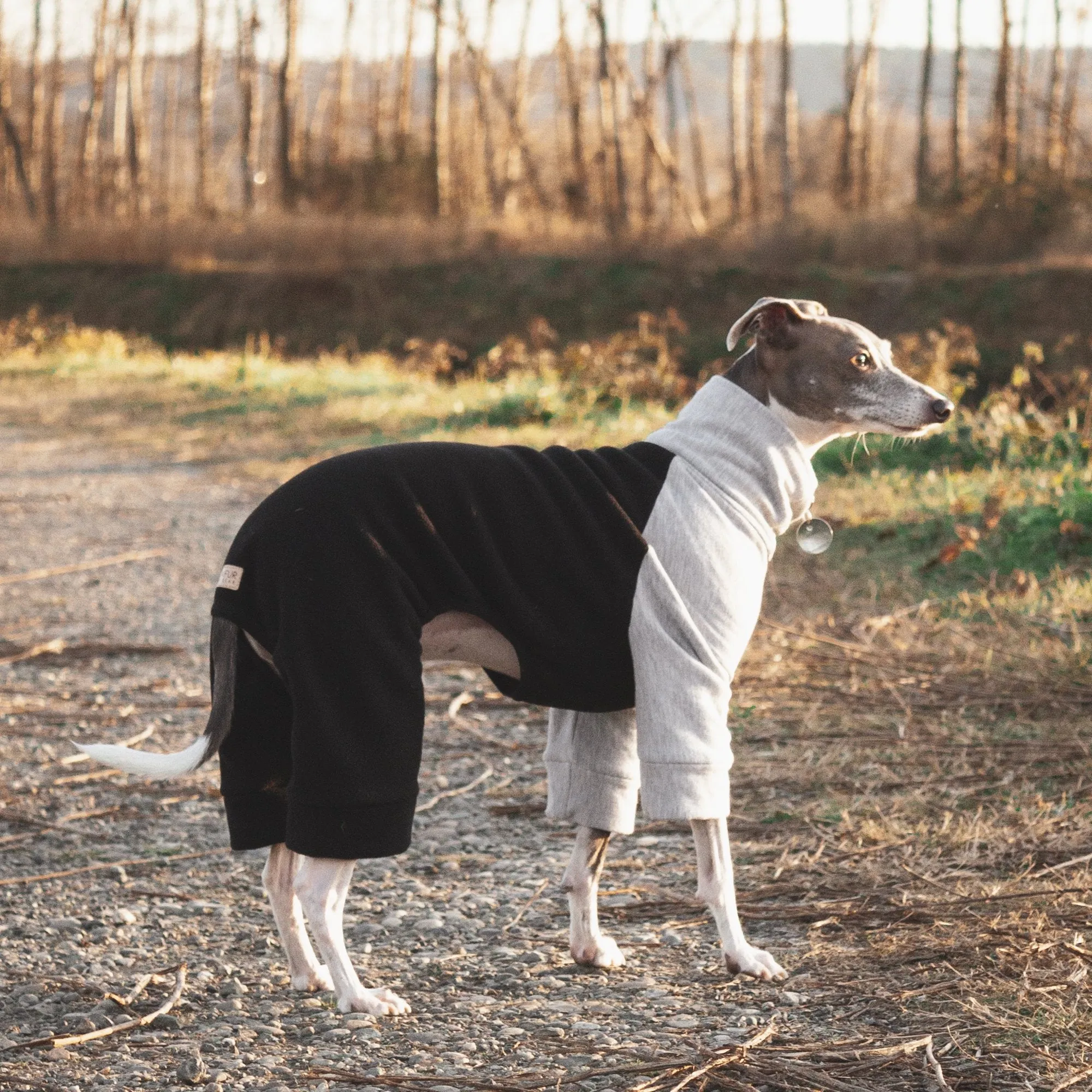 Fleece Dog Onesie - Black & Grey