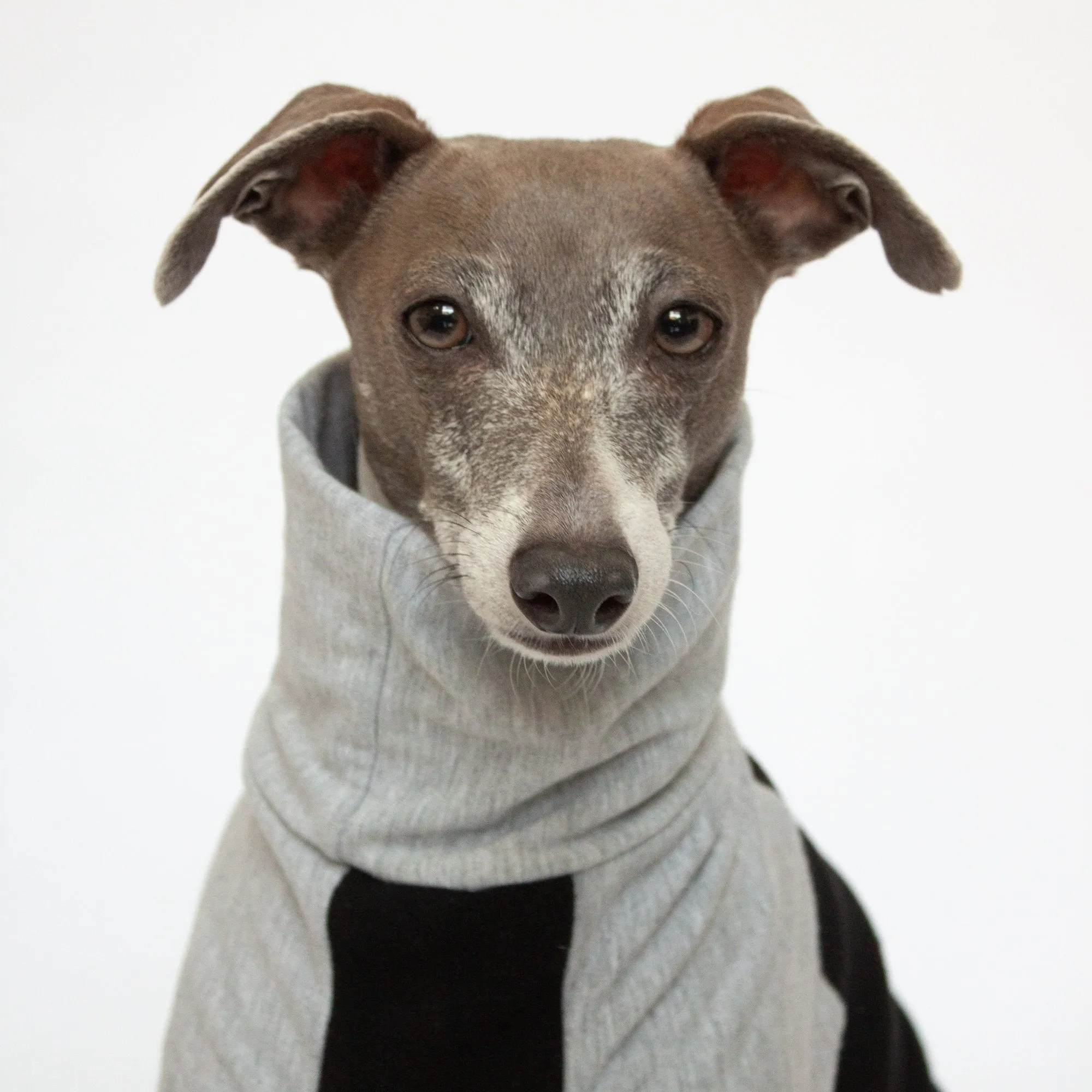 Fleece Dog Onesie - Black & Grey