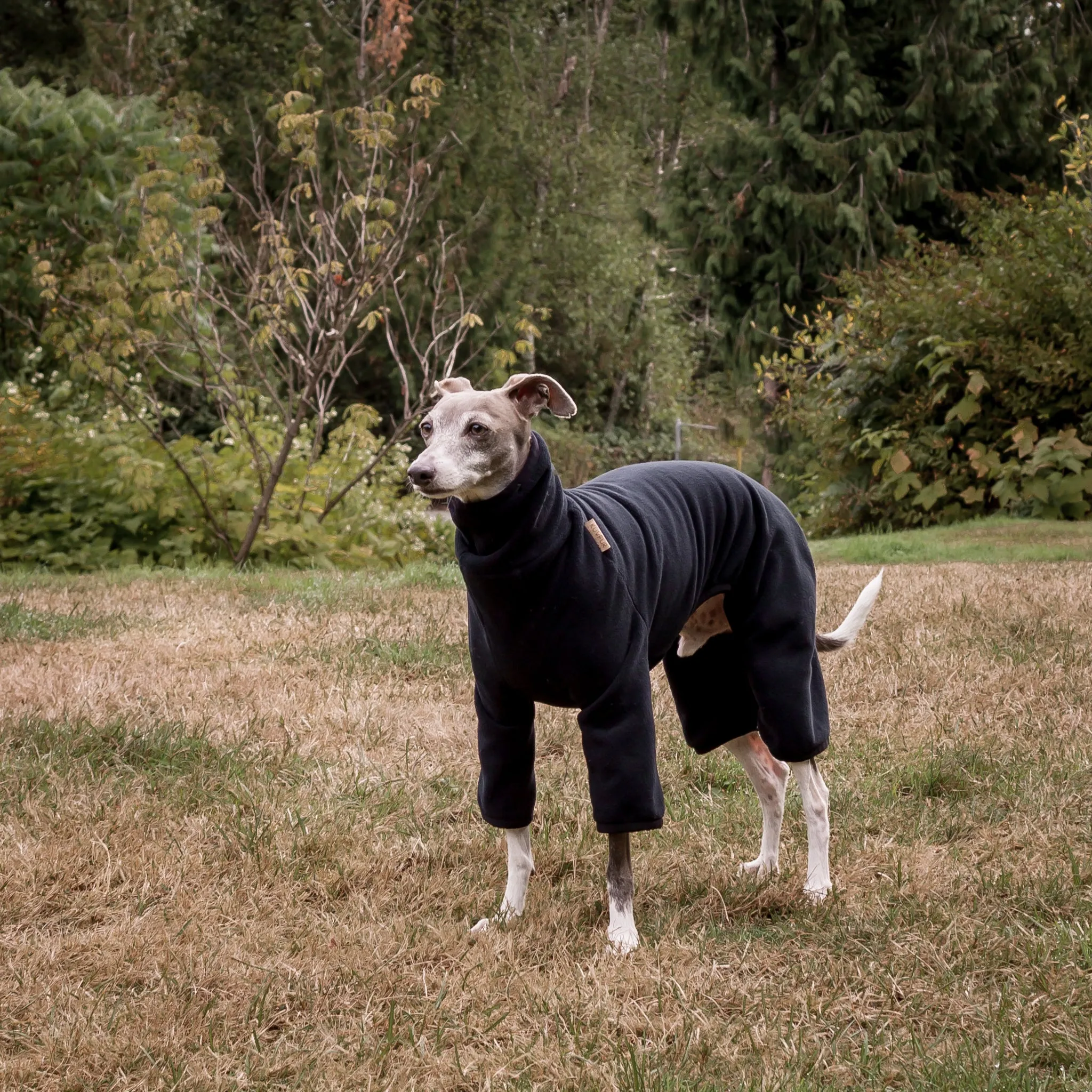 Fleece Dog Onesie - Black