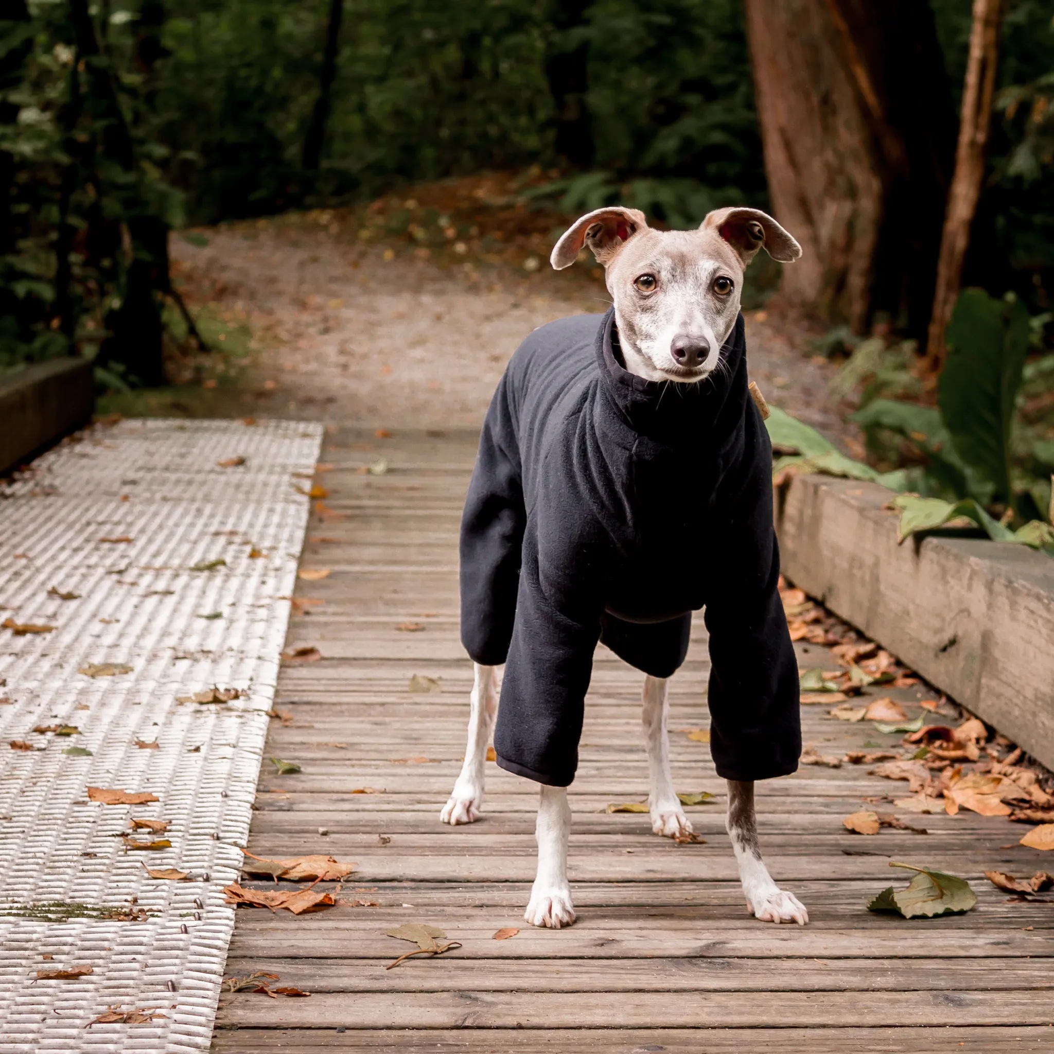 Fleece Dog Onesie - Black