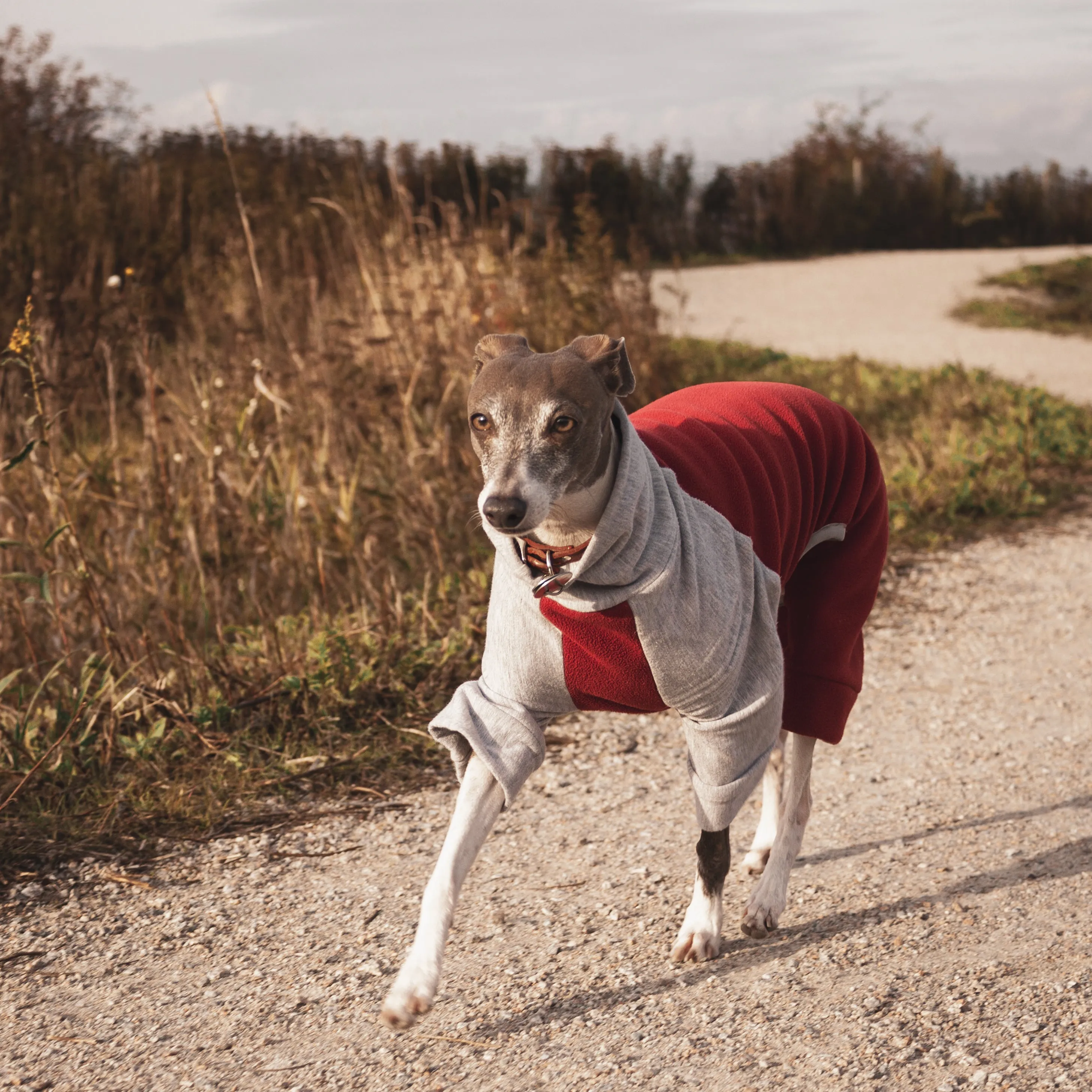 Fleece Dog Onesie - Red & Grey