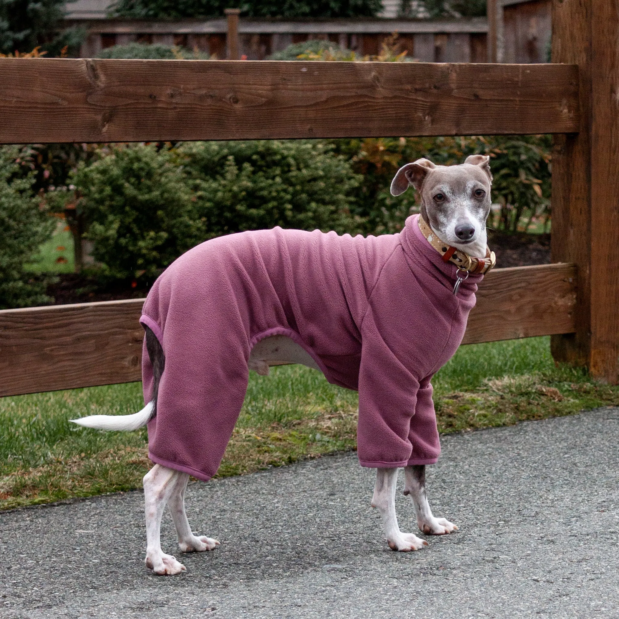 Fleece Dog Onesie - Rose Pink