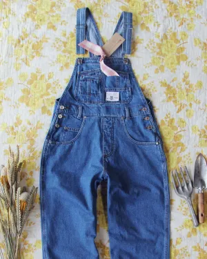 Gardeners Overalls in Denim