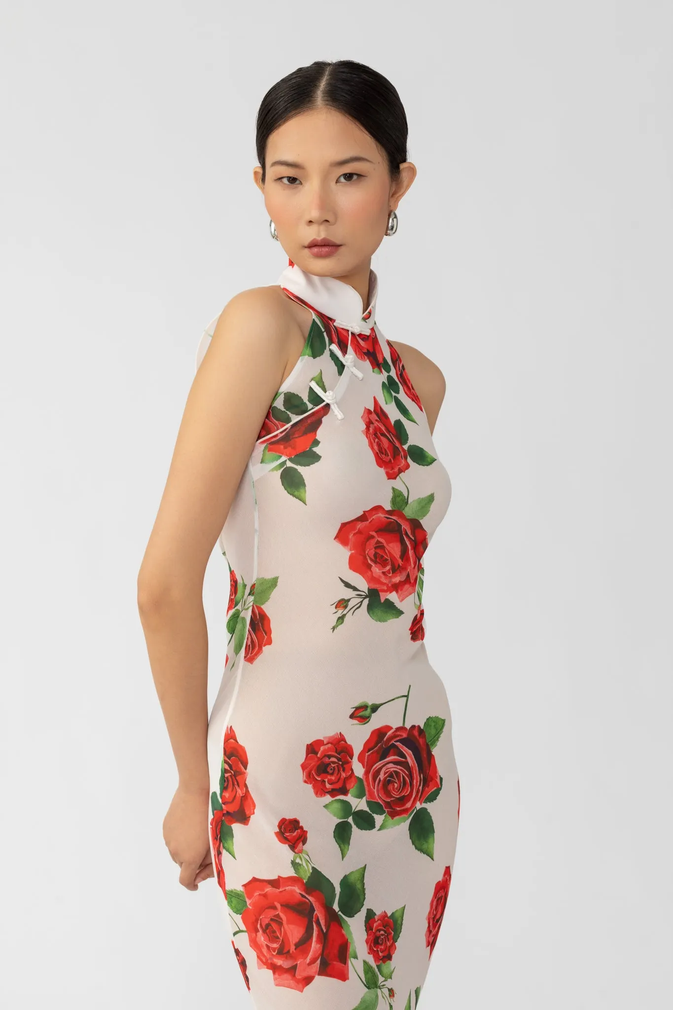 Gladys Rosa Dress