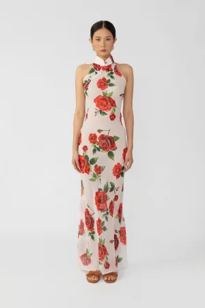 Gladys Rosa Dress