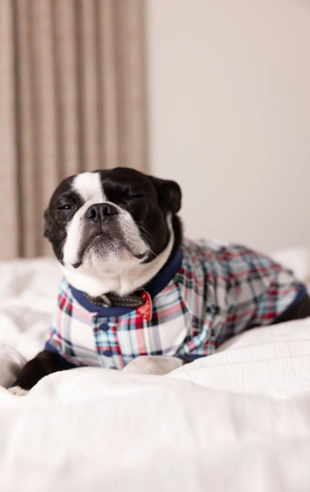 Hibernation Plaid Pet Pajamas - Pet & Owner