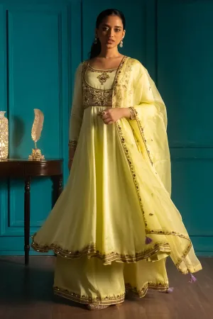 Lime Embroidered Anarkali Set