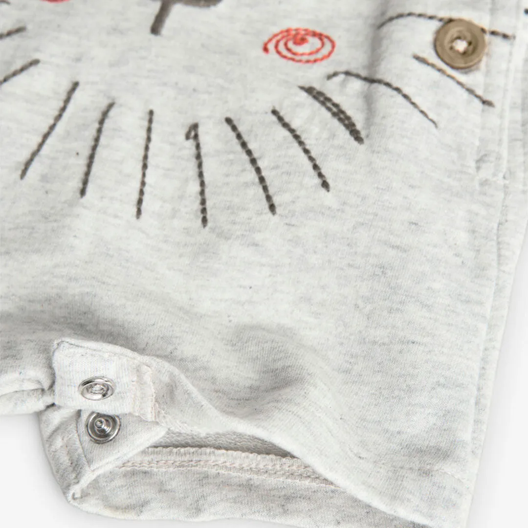 Little Lion Overalls & Tee Set