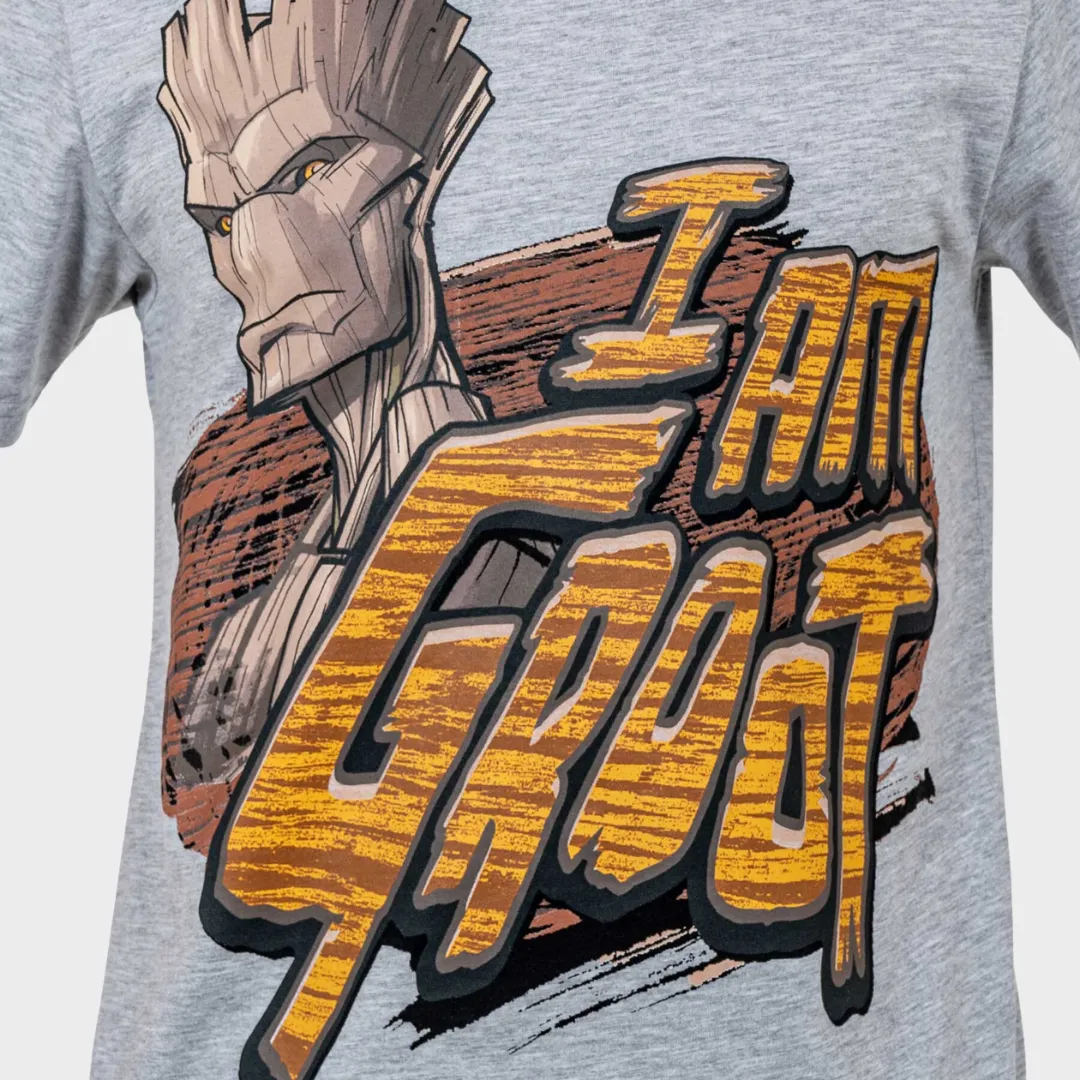 Mens Groot Pajamas