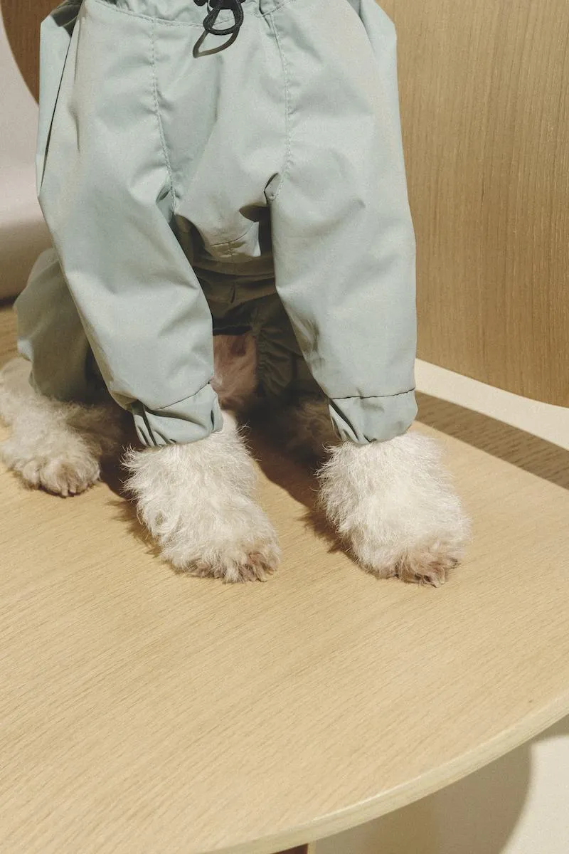 Overall "Pony-Jumpsuitony" Mint