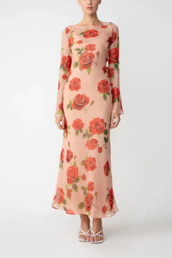 Rose Print Sheer Chiffon Maxi Dress