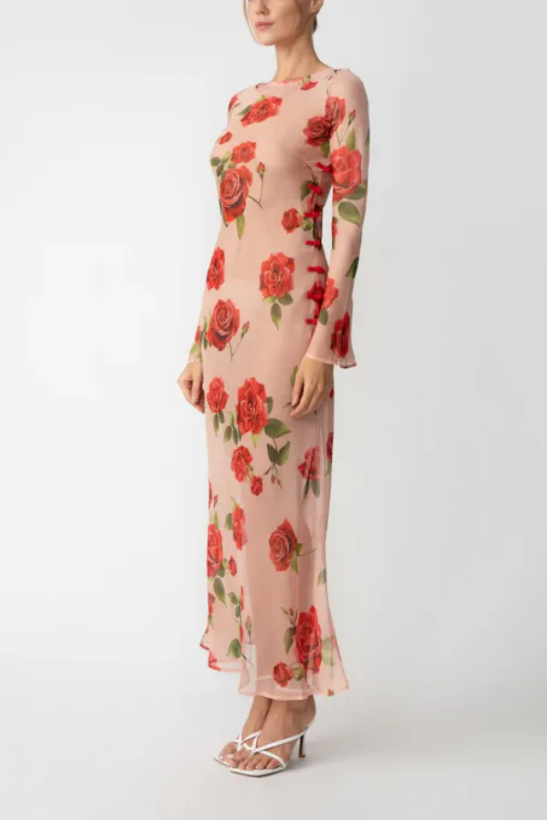 Rose Print Sheer Chiffon Maxi Dress
