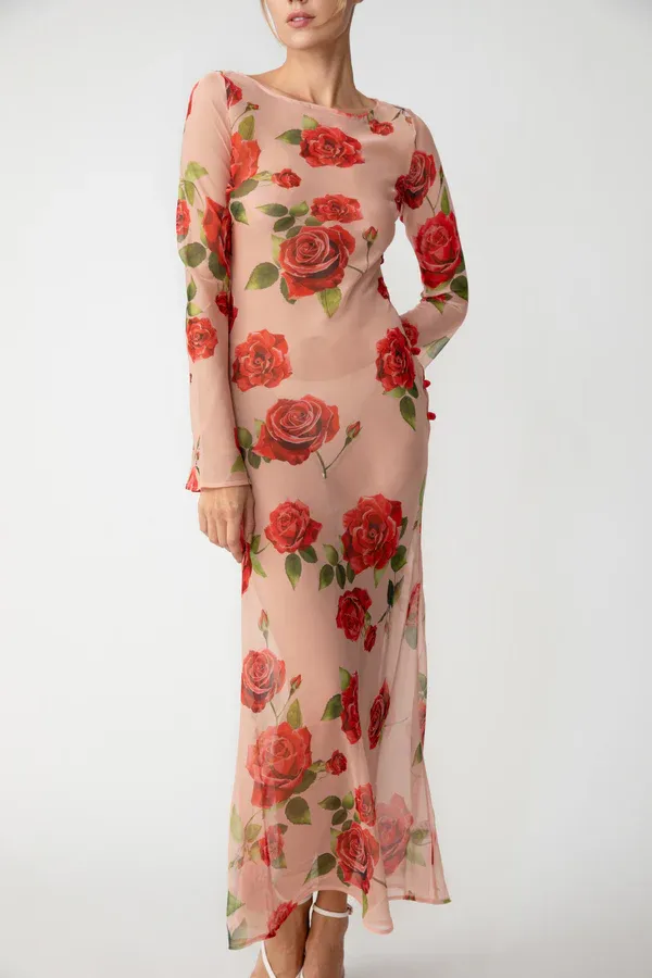 Rose Print Sheer Chiffon Maxi Dress