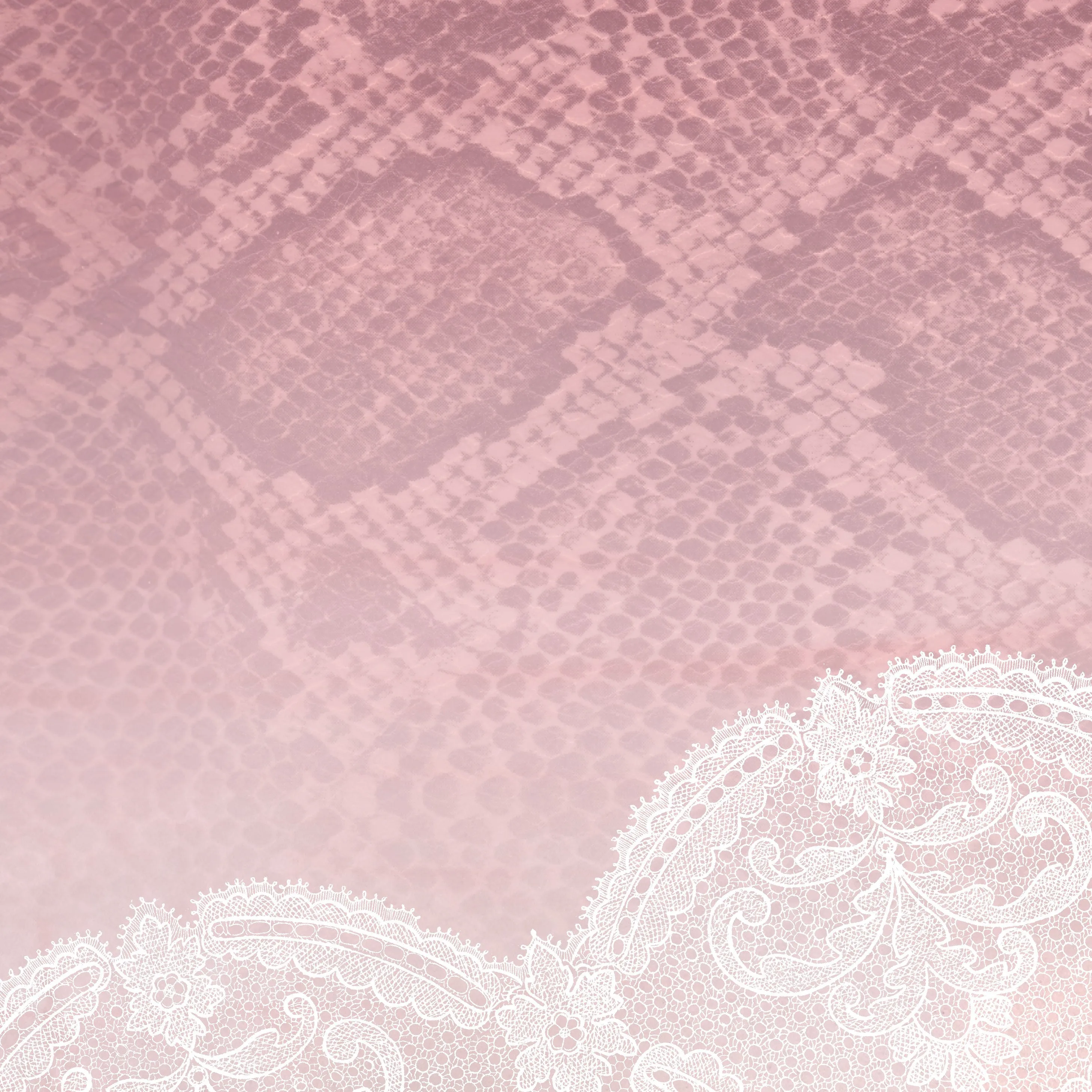 Snakeskin & Lace