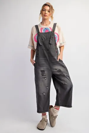 SUSAN DENIM OVERALL