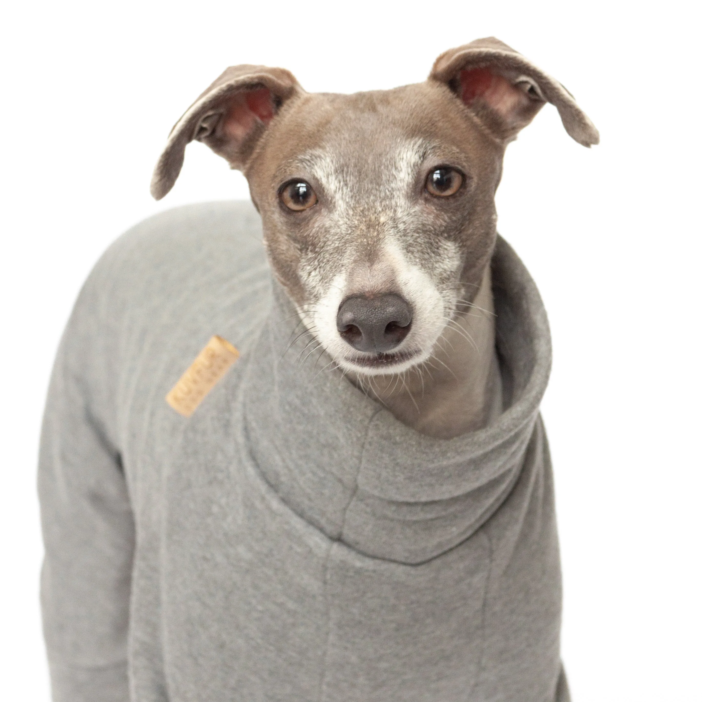 Tracksuit Dog Onesie - Medium Grey
