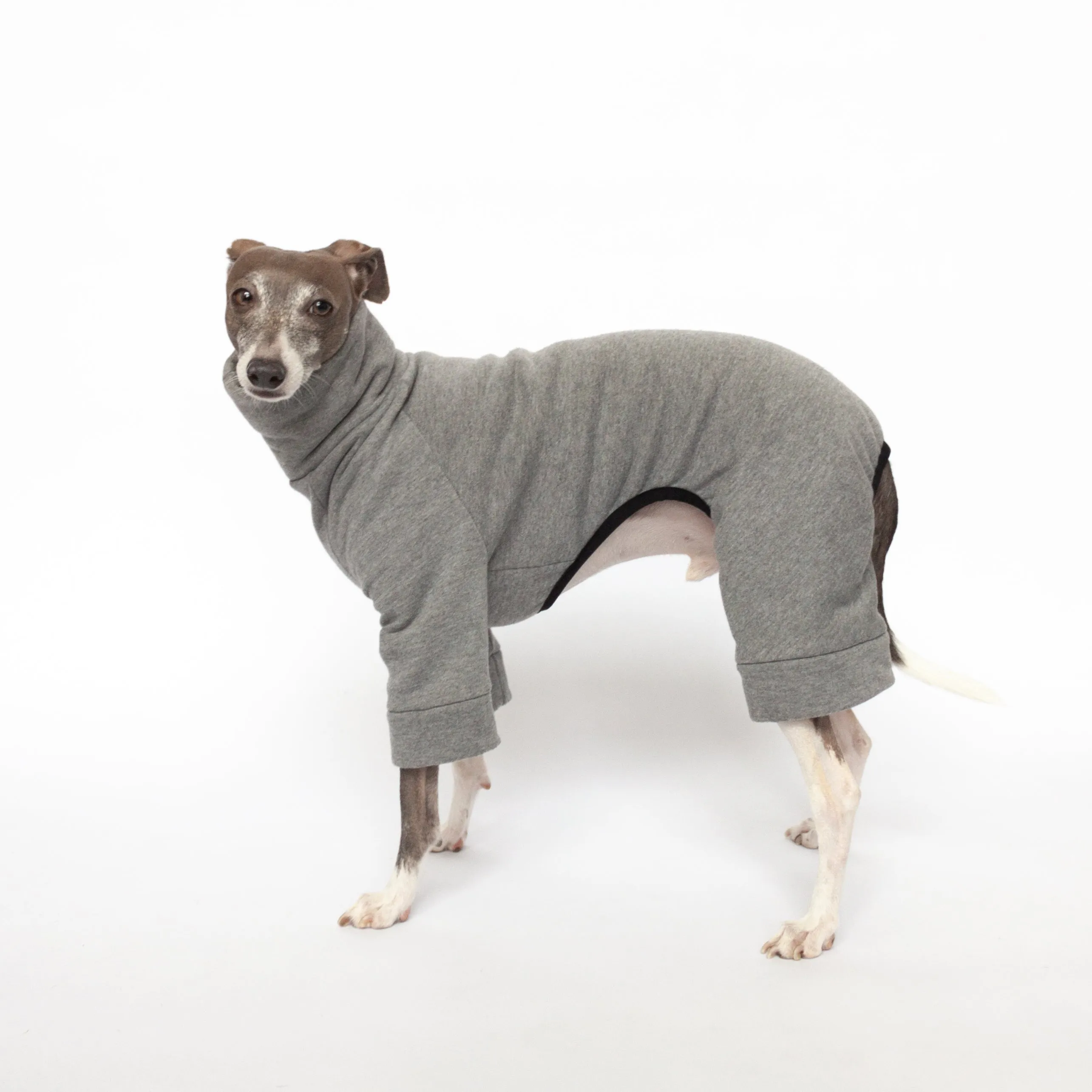 Tracksuit Dog Onesie - Medium Grey