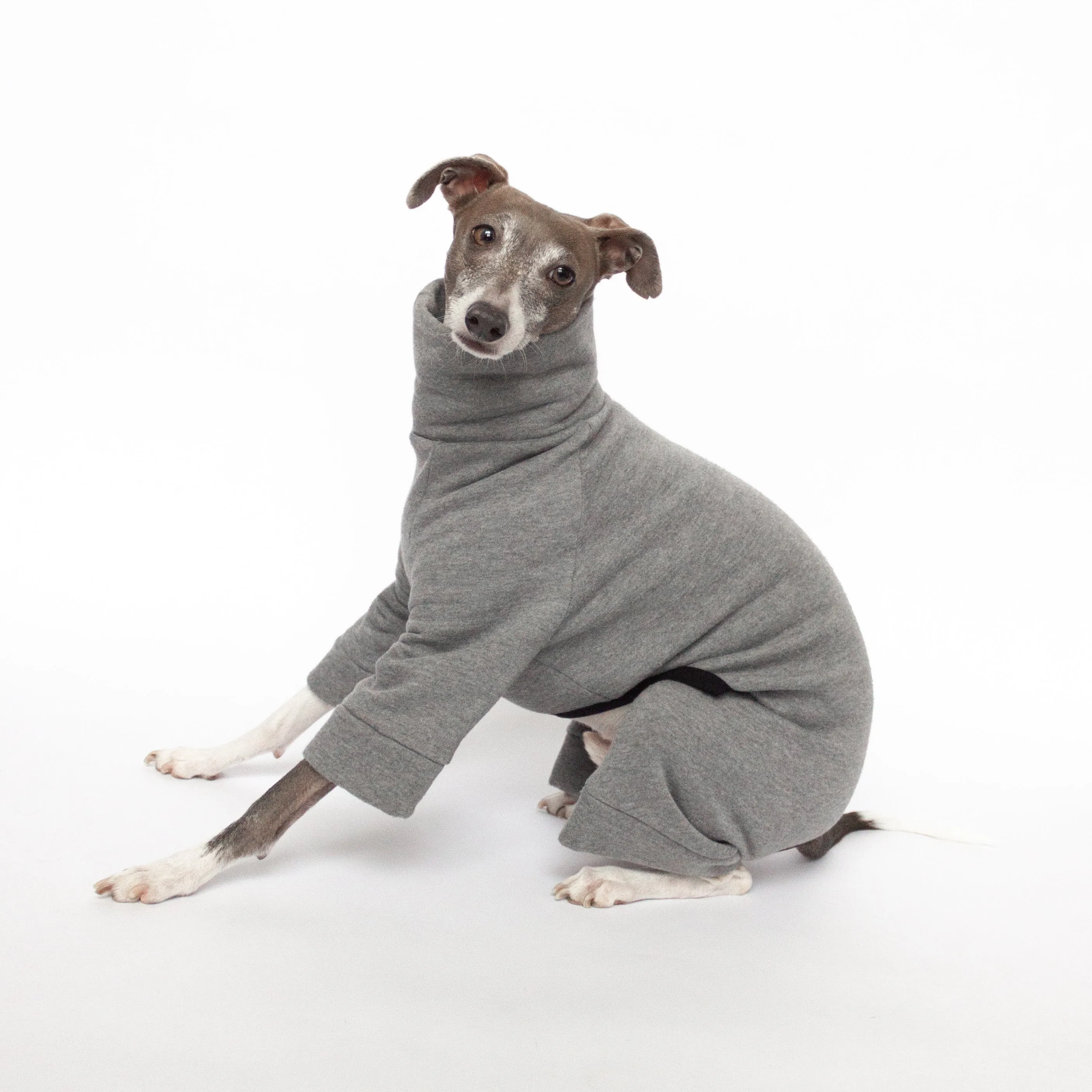 Tracksuit Dog Onesie - Medium Grey
