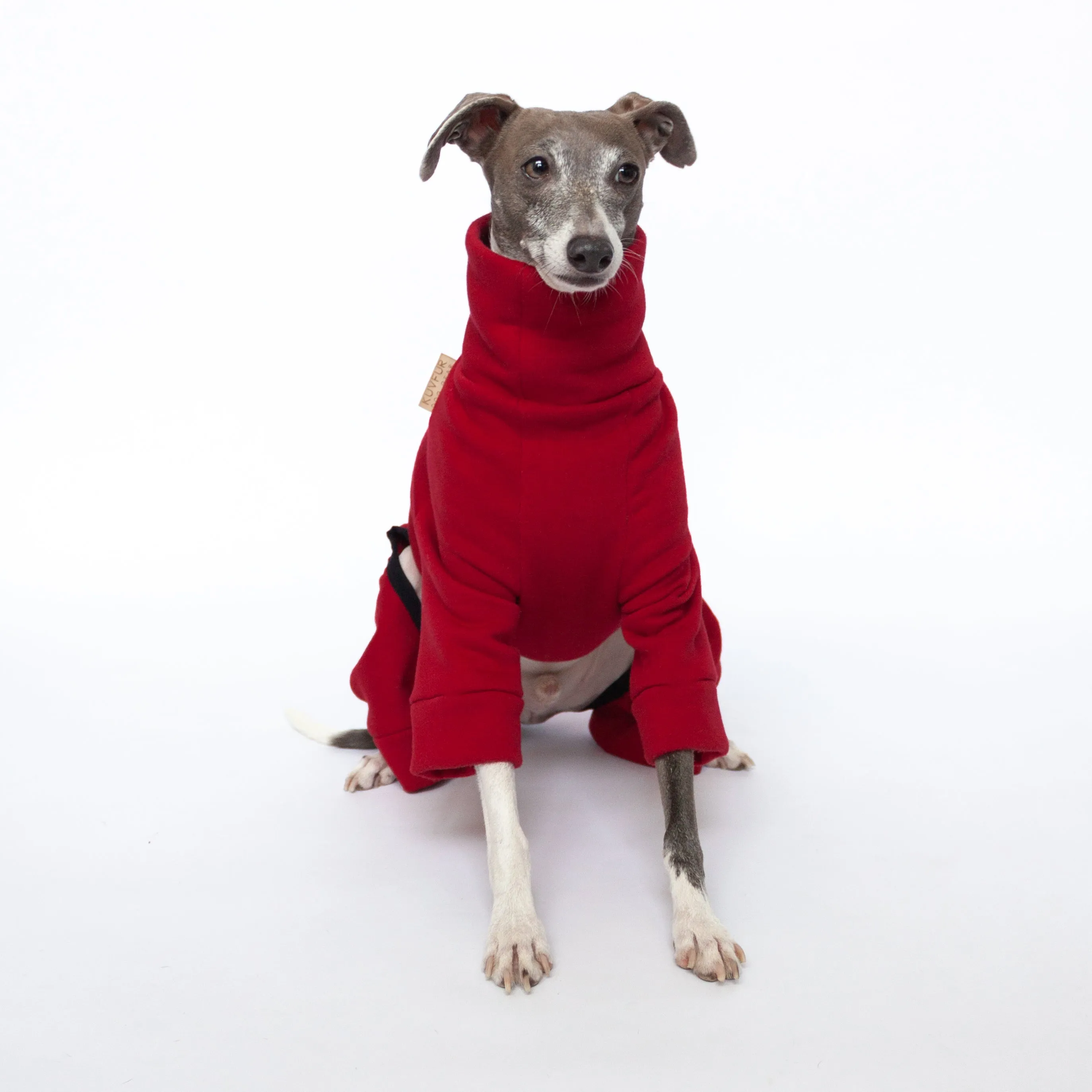 Tracksuit Dog Onesie - Red