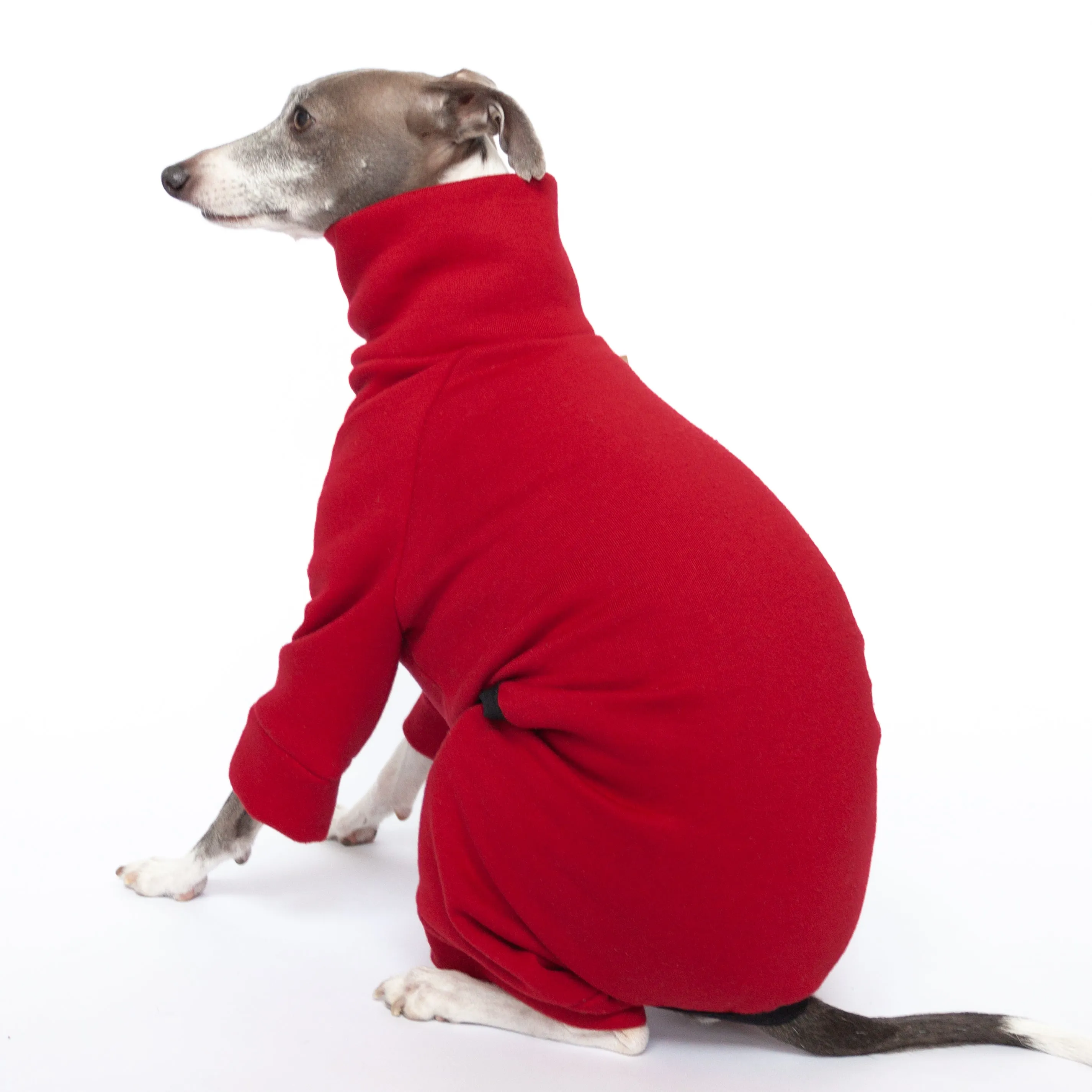 Tracksuit Dog Onesie - Red