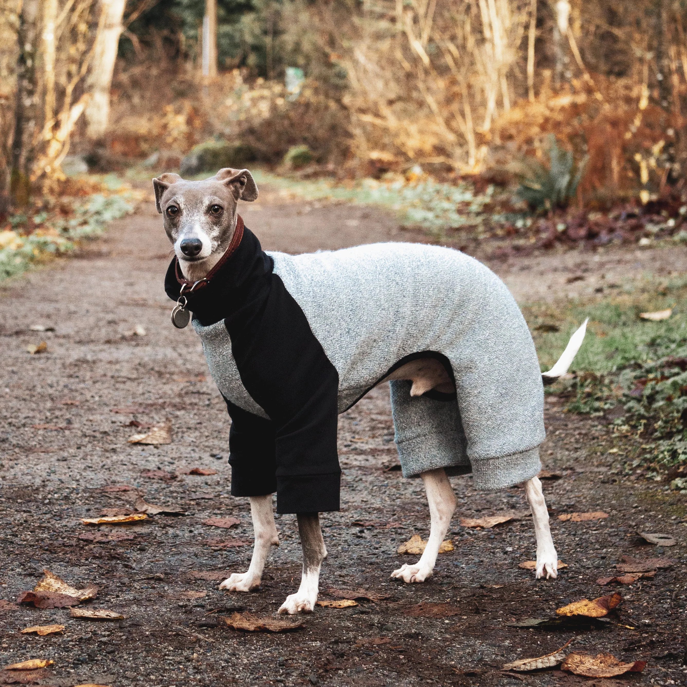 Woven Dog Onesie - Light Blue & Black