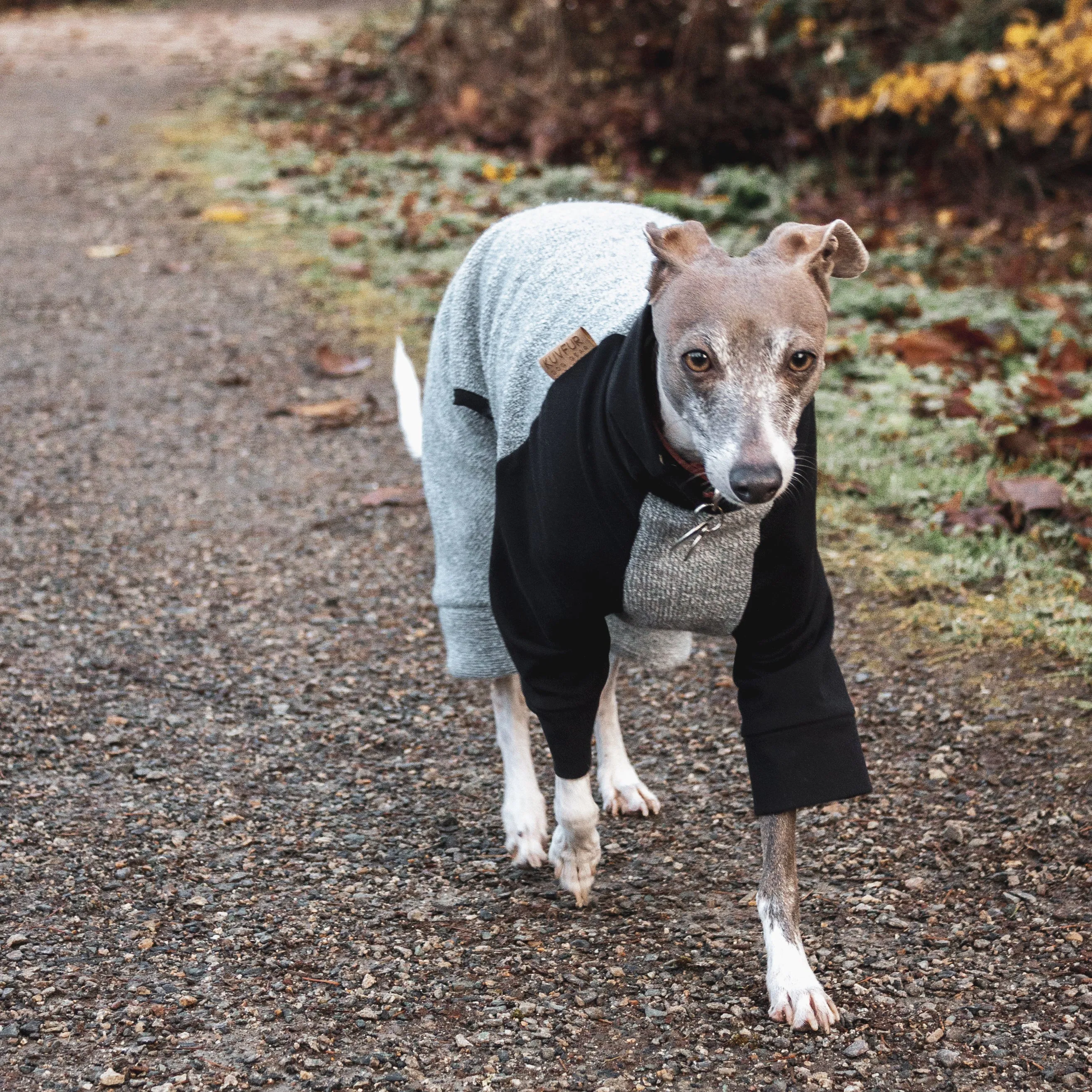 Woven Dog Onesie - Light Blue & Black