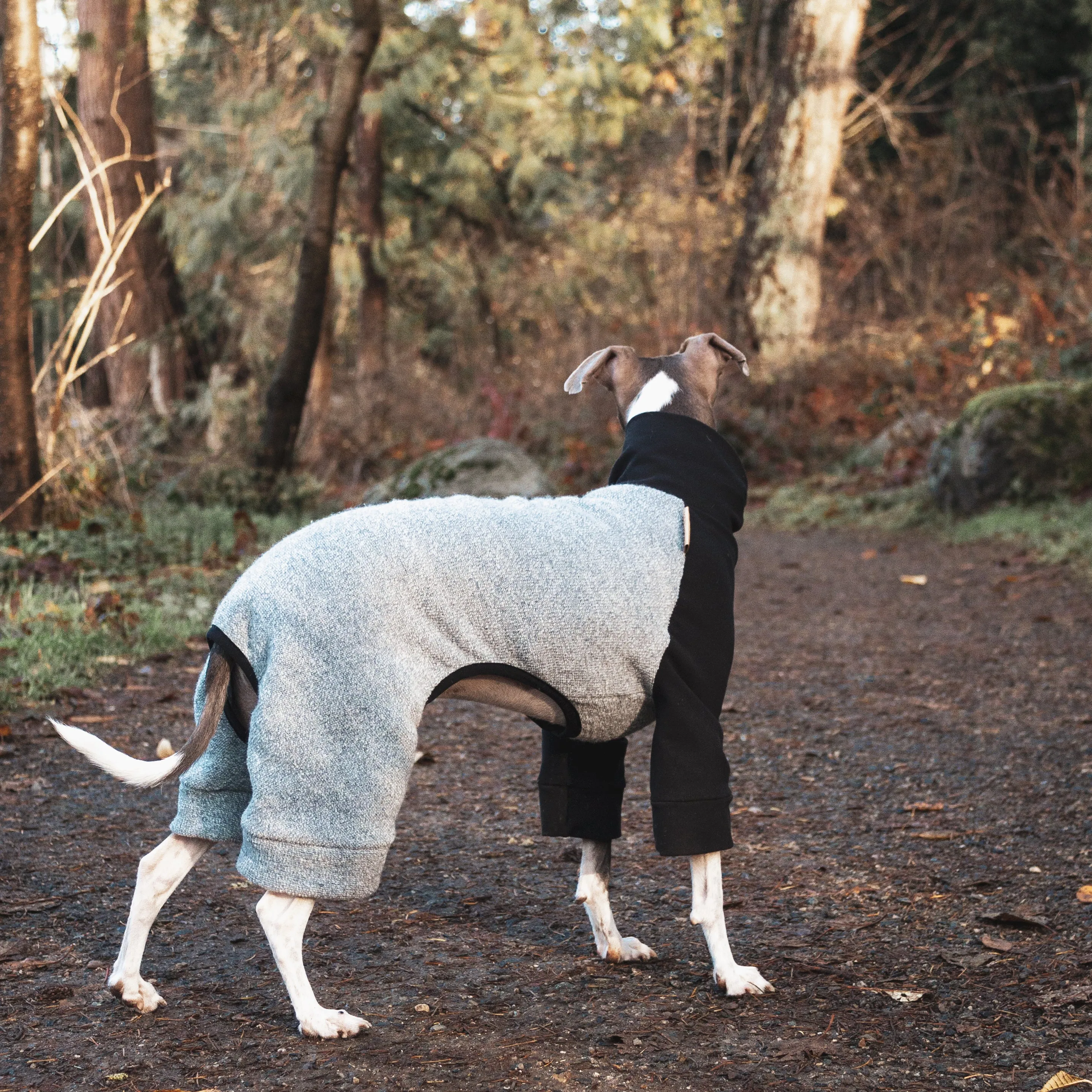 Woven Dog Onesie - Light Blue & Black